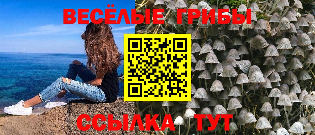 Галлюциногенные грибы мухоморы Бузулук